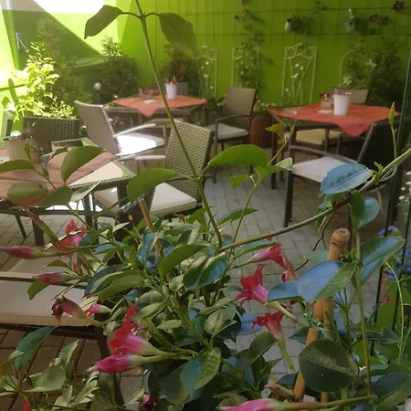 施维泽司图酒店 酒店