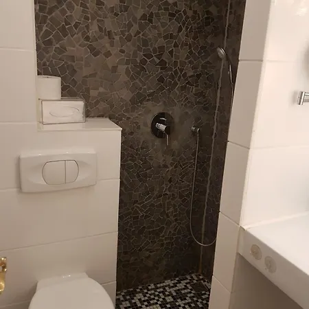 Schweizer Stubb Kaiserslautern