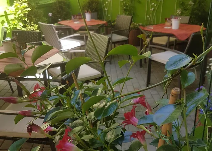 施维泽司图酒店 酒店